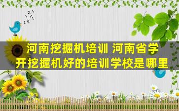 河南挖掘机培训 河南省学开挖掘机好的培训学校是哪里